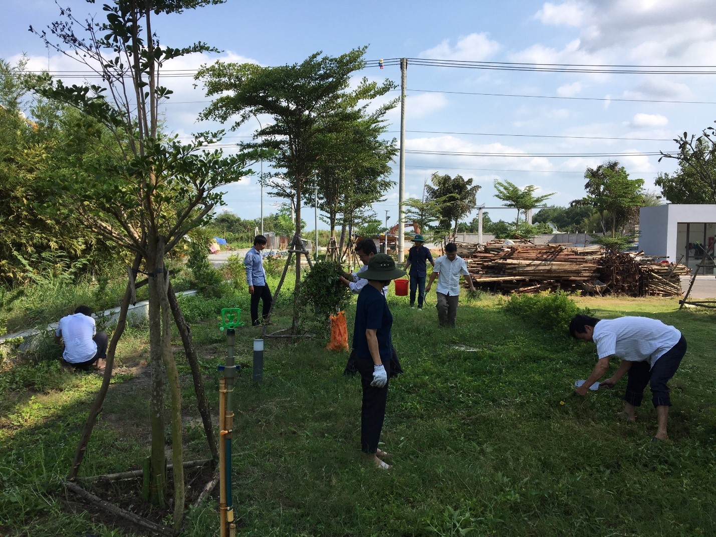 Chi đoàn Trung tâm Tần số vô tuyến điện khu vực IV trồng cây xanh tại khuôn viên trụ sở Trung tâm